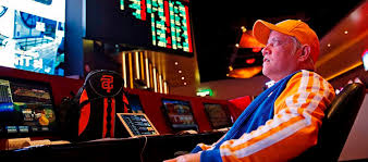 Вход на официальный сайт Dobro.bet Casino